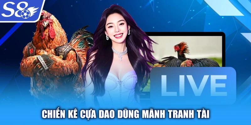 Chiến kê cựa dao dũng mãnh tranh tài