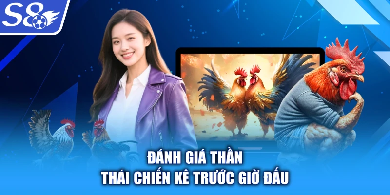 Đánh giá thần thái chiến kê trước giờ đấu