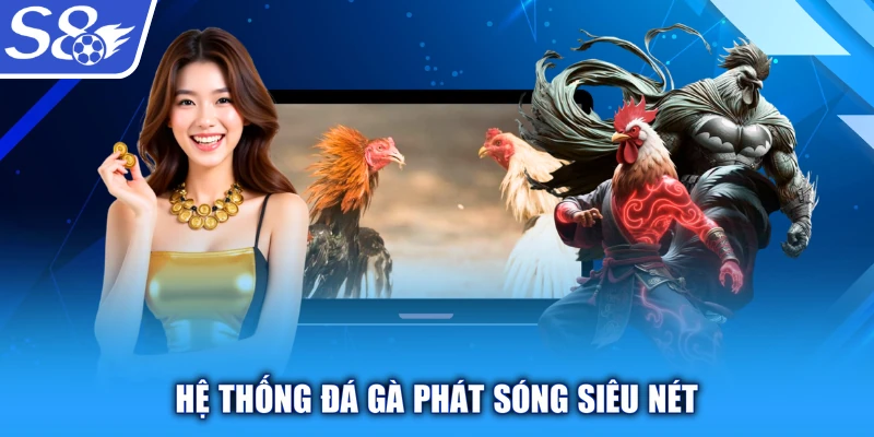 Hệ thống đá gà phát sóng siêu nét