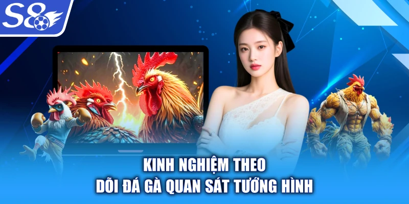 Kinh nghiệm theo dõi đá gà quan sát tướng hình