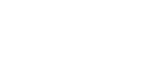 logo s8