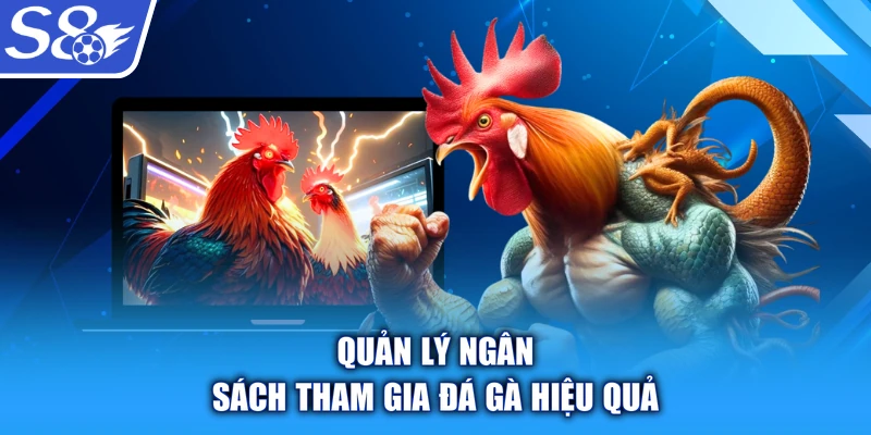 Quản lý ngân sách tham gia đá gà hiệu quả